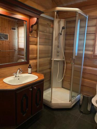 a bathroom with a shower and a sink at Stor velutstyrt laftehytte med usjenert uteplass, flott utsikt og Jacuzzi in Eggedal