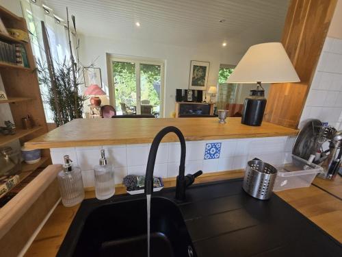 eine Küche mit Spüle und Arbeitsplatte in der Unterkunft Grande maison calme proche centre terrasse jardin in Besançon