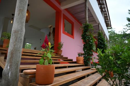 a house with a bunch of potted plants on the stairs at Casa Colorida in Santa Marta