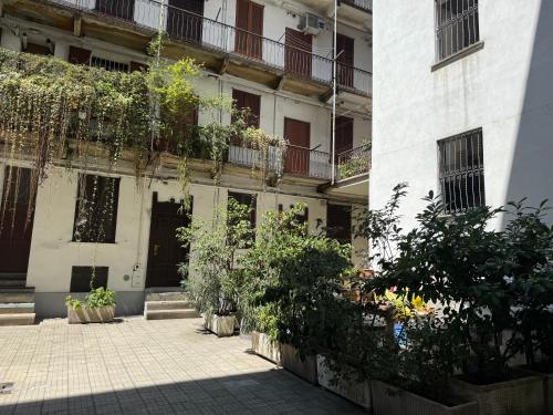 Appartment Pasteur-MM Red line