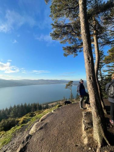 a man standing on a hill next to a tree at Rostrevor Mountain Lodge - Glamping Pods - Revive Sauna & Hot Tubs in Rostrevor