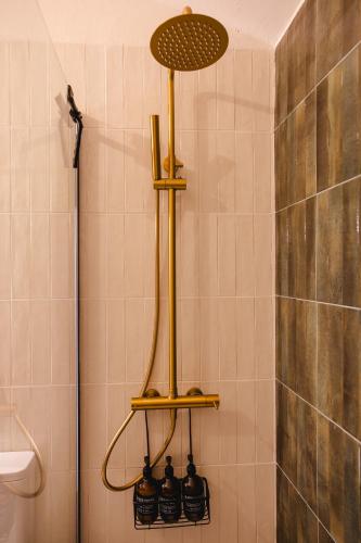 a bathroom with a shower with four bottles at Casa Maria Avieira in Azinhaga