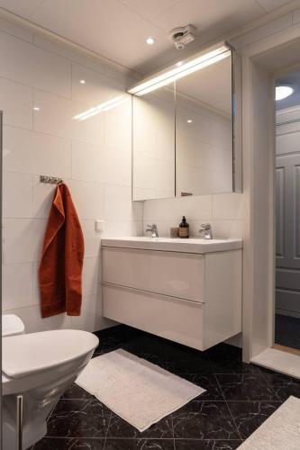 a bathroom with a sink and a toilet and a mirror at Söromsjön, Funäsdalen in Funäsdalen