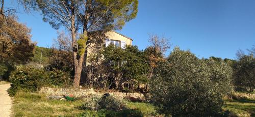 a house on a hill with trees and a stone wall at Au coeur de l'oliveraie in Draguignan