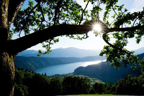 a view of a lake from under a tree at 4Luxuriöses Ferienhaus in traumhafter Landschaft in Döbriach