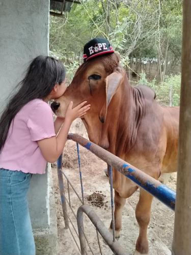 a woman is kissing a brown horse at El Eden Glamping cabañas Girardot in Girardot