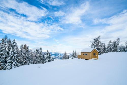 a cabin in the snow with snow covered trees at 4Luxuriöses Ferienhaus in traumhafter Landschaft in Döbriach