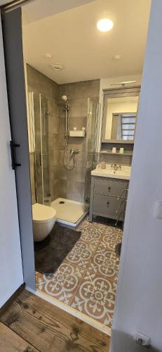 a bathroom with a shower and a toilet and a sink at Altes Saale Fährhaus in Naumburg