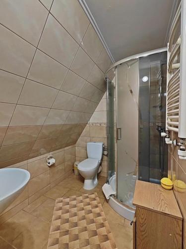 a bathroom with a toilet and a shower and a sink at U Białasów in Małe Ciche