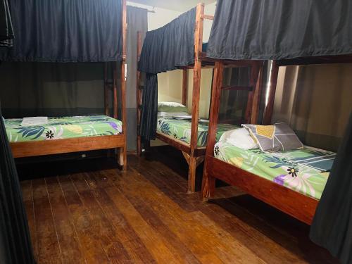 Ένα ή περισσότερα κρεβάτια σε δωμάτιο στο Screaming Gecko Hostel