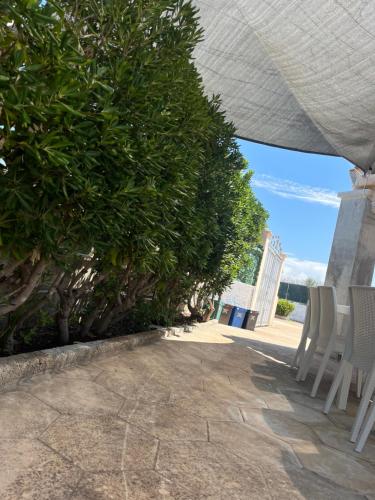 Κήπος έξω από το Giardino di Chiara al mare