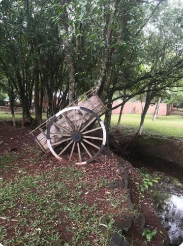 un banco de madera sentado en el césped junto a un árbol en Complejo Recreativo FAYJA, en Bella Vista
