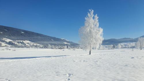 Apart Studio 71 en invierno