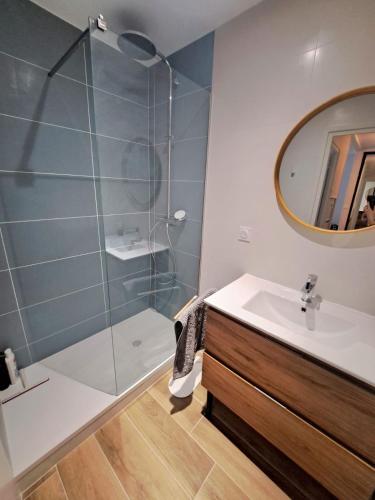 Un baño con ducha, lavabo y espejo. en Bel appartement au calme avec parking, en Lyon