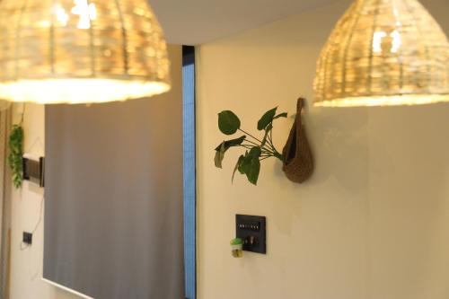 two lights hanging from a room with a plant on the wall at Dolce Villa IGATPURI in Igatpuri