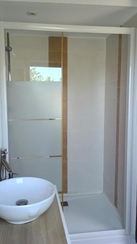 a bathroom with a white sink and a shower at Chambre d'hôtes proche du PAL-Badiane- in Saligny-sur-Roudon