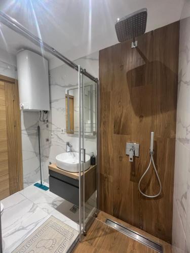 Un baño con lavabo y ducha de cristal. en Mitra Apartmani, en Zlatibor
