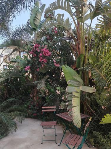 a bench sitting in front of a bunch of plants at Garden Art in Pervolia