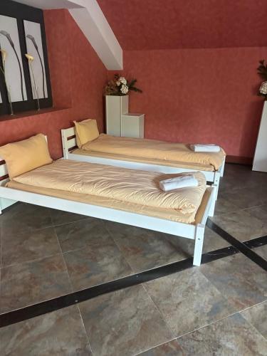 two beds in a room with a red wall at Hotel Temenuga in Panichishte