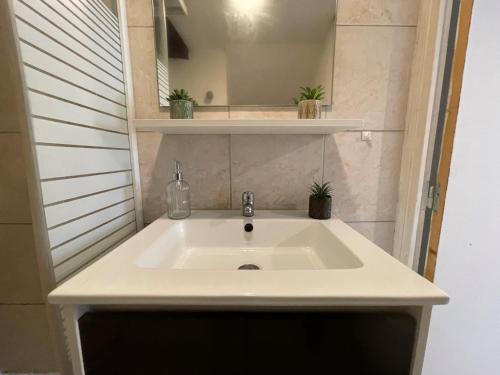 un lavabo blanc dans une petite salle de bain avec des plantes dans l'établissement Le Vercors, à Chabeuil