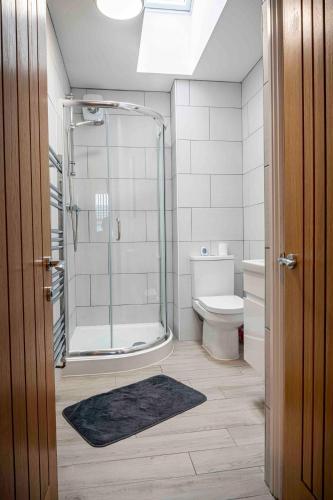 a bathroom with a shower and a toilet at Cheerful 1-bedroom home with free parking, WiFi in Swansea