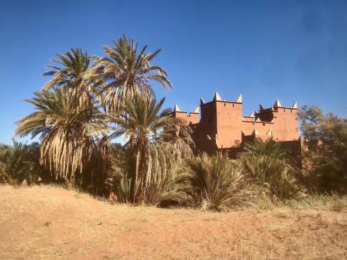 a castle with palm trees in front of it at Hotel Carrefour des Nomades in Mhamid