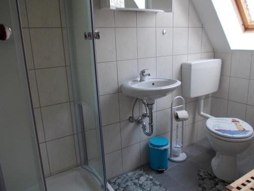 ein Bad mit einer Dusche, einem WC und einem Waschbecken in der Unterkunft Ferienwohnung auf Rügen ganz oben in Putgarten