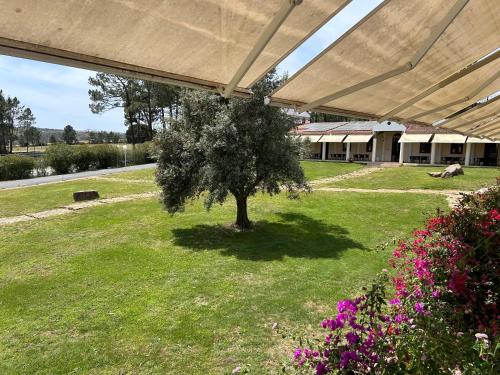 Gallery image of Odeceixe Bungalow-Parque de Campismo Sao Miguel in Odeceixe