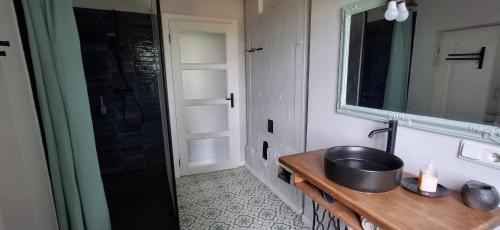 a bathroom with a sink and a mirror and a shower at Nature lovers house izbeigts in Stacija Bērstele