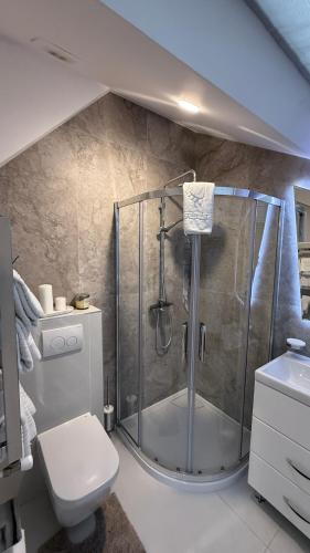 a bathroom with a shower and a toilet at Hotel Maria in Rădăuţi