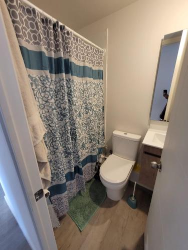 a bathroom with a toilet and a shower curtain at Departamento completo 2 dormitorios 2 baños viña del mar in Viña del Mar