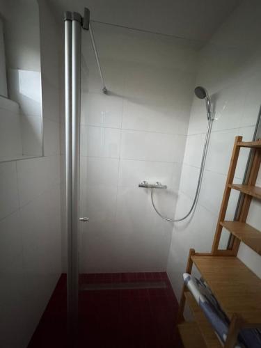 a shower in a white bathroom with a ladder at Prague Cozy Hideaway in Lysolaje