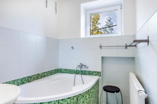 Ένα μπάνιο στο Apartmány "Duše hor" Stříbrnice