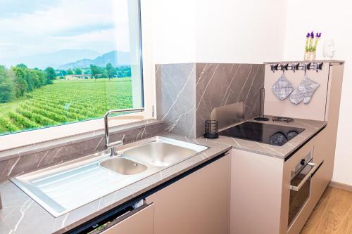 Kuchyň nebo kuchyňský kout v ubytování Casa Vacanza Dany in Franciacorta Vista Vigneti