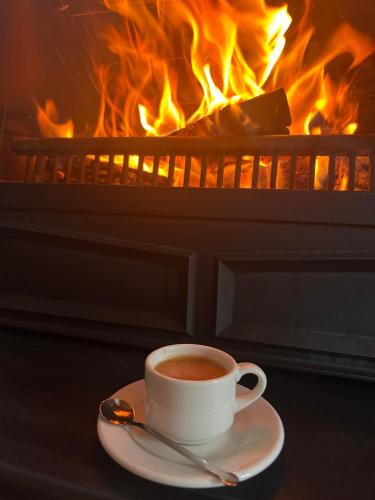 a cup of coffee on a plate in front of a fireplace at Pineview House in Kolašin
