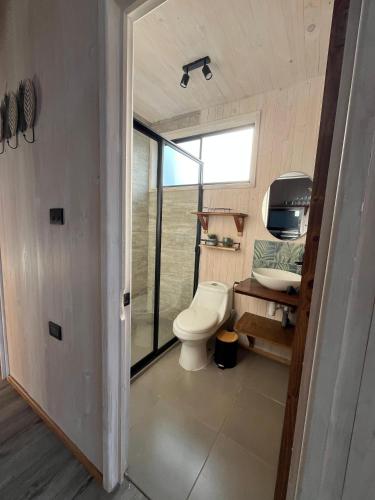 a small bathroom with a toilet and a sink at Lodge KARKÚ in Pichilemu
