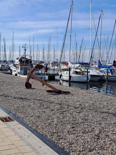 a group of boats are docked in a marina at Apartment schöner Ausblick in Wendtorf