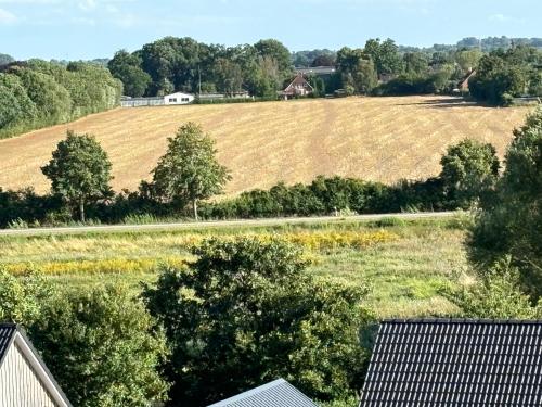 an aerial view of a field and trees at Apartment schöner Ausblick in Wendtorf