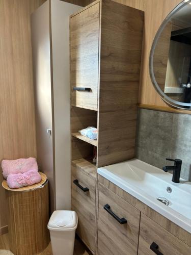 a bathroom with a sink and a toilet at Le Chalet du Bonheur in Puget-sur Argens