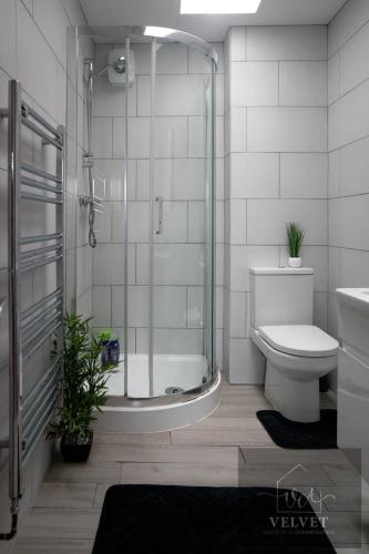 a bathroom with a shower and a toilet and a sink at Stylish Chalet 5min to Beach in Swansea
