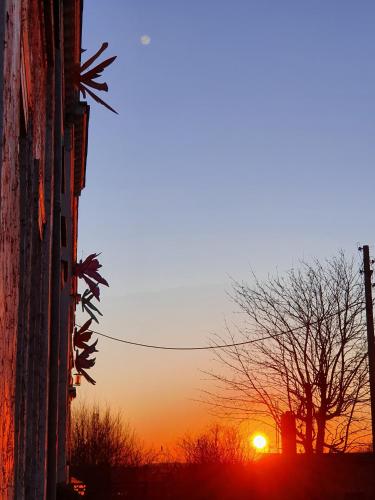 a sunset with a tree and a building at Kunstgut Patapaya in Neukalen