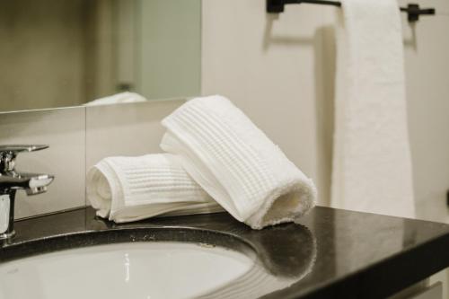 a bathroom with two rolls of towels on a sink at Elegant Suite in Santa Cruz de la Sierra