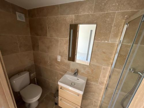 un baño con inodoro, lavabo y espejo en Studio 1, en Roquebrune-sur-Argens