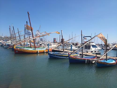 a group of boats docked in a harbor at Bel appartement spacieux front de mer in Le Barcarès