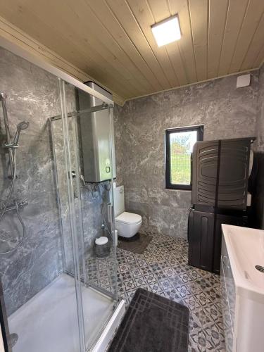 a bathroom with a shower and a toilet and a sink at St Hubertus eco complex 