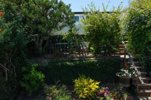 a garden with a bunch of plants and flowers at Overlooking Marina del Rey sailboats, is Green Ginger Playa Del Rey on the bluff, in Los Angeles