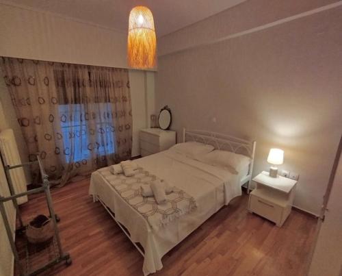 Apartment Goudi - Zografou Athens