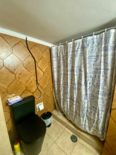 bagno con tenda per la doccia e servizi igienici di Sweety Flat Marina Zeas Piraeus a Pireo