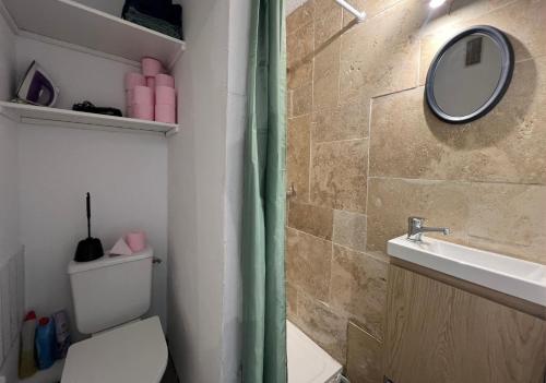 La salle de bains est pourvue de toilettes, d'un miroir et d'un lavabo. dans l'établissement Bel appartement avec vue au Barcarès, au Barcarès