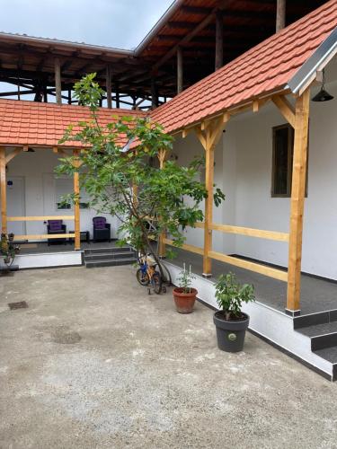 a building with two trees in pots in front of it at Studio Gala in Požarevac
